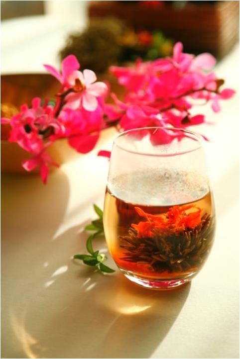 宗璞：莫扎特在医药杯中