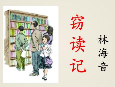 阅读后300字