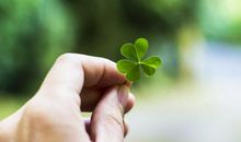 人一定要学会勇敢坚强和接纳