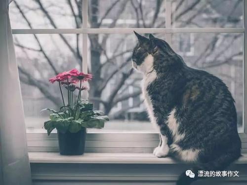 梁世秋：窗外