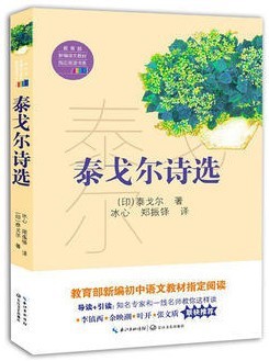 泰戈尔：升级