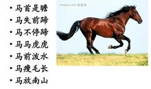 关于马的四字成语