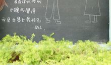 表达喜爱之情的句子