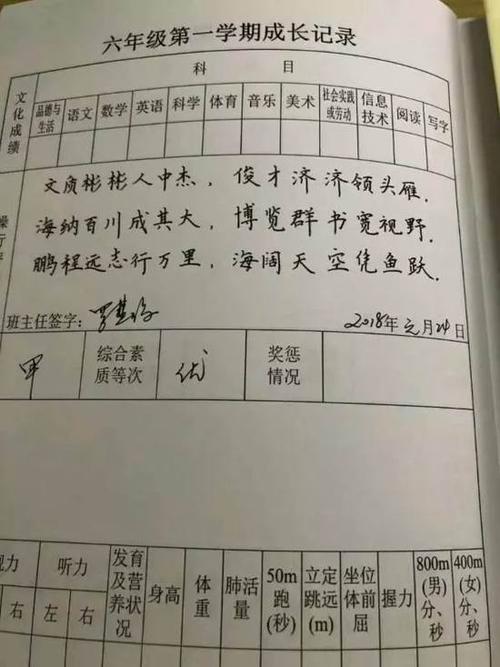 音乐老师的最终评论