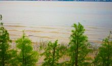 描写湖水的优美句子