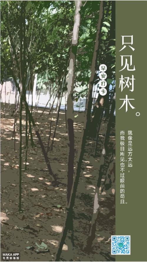 我只看了一眼树木，却看不到森林