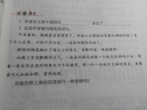 一个很好的部分描述了松树