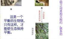 励志人生：罗斯福的故事