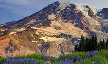 描写四季景色的片段