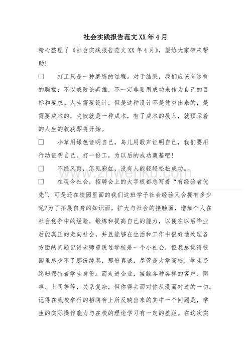 社会实践评论