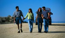 人生的三叶草：亲情爱情友情