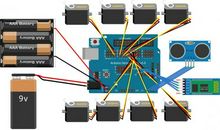 描写乌龟的好段