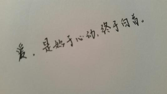 经典语录：爱始于心跳，始于被动