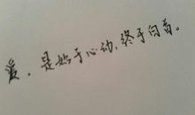 经典语录：爱，始于心动，止于被动