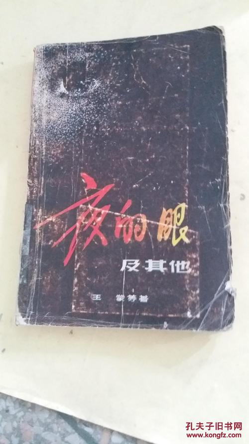 王萌：你的眼睛