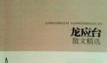 龙应台作品_龙应台散文集