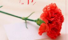 教师节励志名言