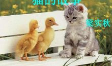 梁实秋：猫的故事