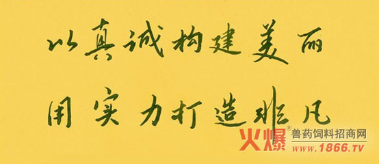 墙纸标语