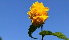 过好人生五天中的每一天