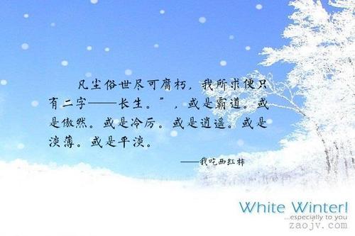 冷漠的句子