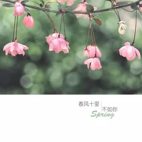 春天充满希望的一句话