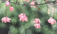 春天充满希望的句子