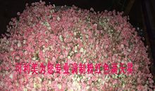 经典语录：抬头看满天星，却挂念某一道彩虹