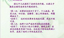 经典美文摘抄300字