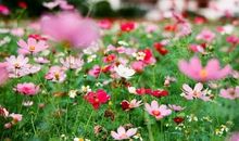 沈奇岚:你的阅读造就了你