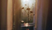 早安心语：守嘴不惹祸， 守心不出错