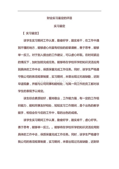 会计实习评论