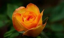 谁是我们生命中最重要的人？