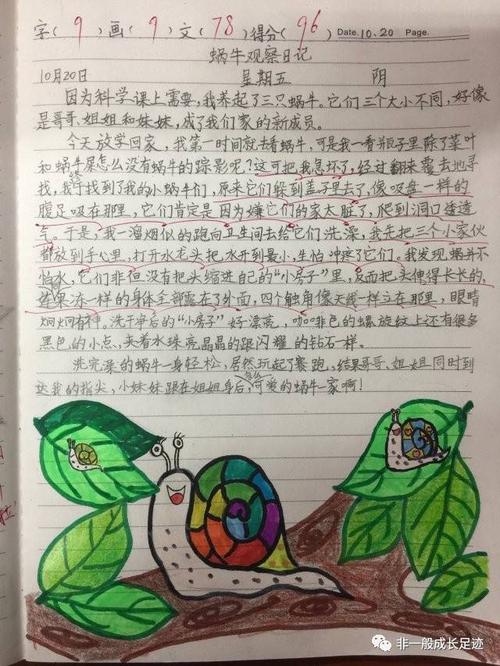 描述蜗牛的句子