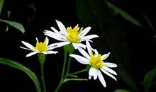 你所有的努力，都会有所得