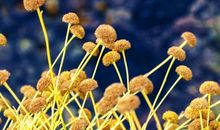 一份懂得便是温暖