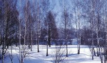 描写雪景的好段