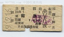 赞美樟树的语句