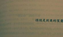 经典语录：失恋的人更懂爱情，失意的人更懂人生