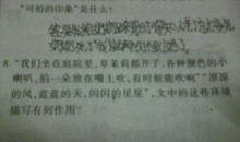 奶奶的星星读后感