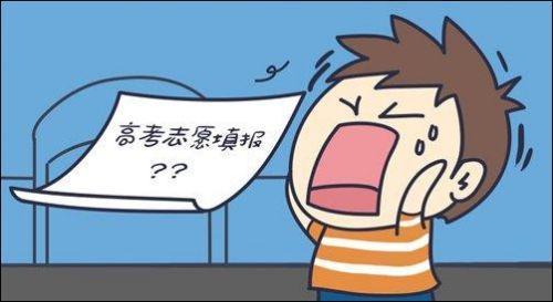 填补高考志愿者的天敌是不现实的