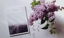 描写野花的句子