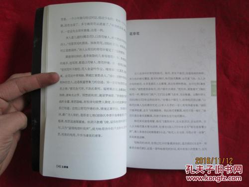 赵丽红：《玉片集》-诗中的茶味