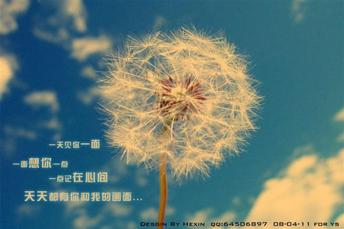 审美经典短句