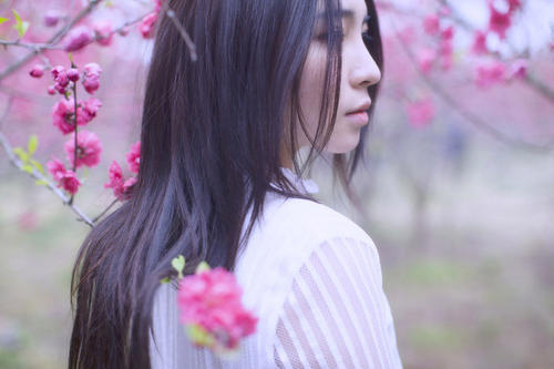 情感美的摘录
