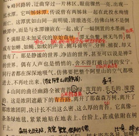 漂亮的句子