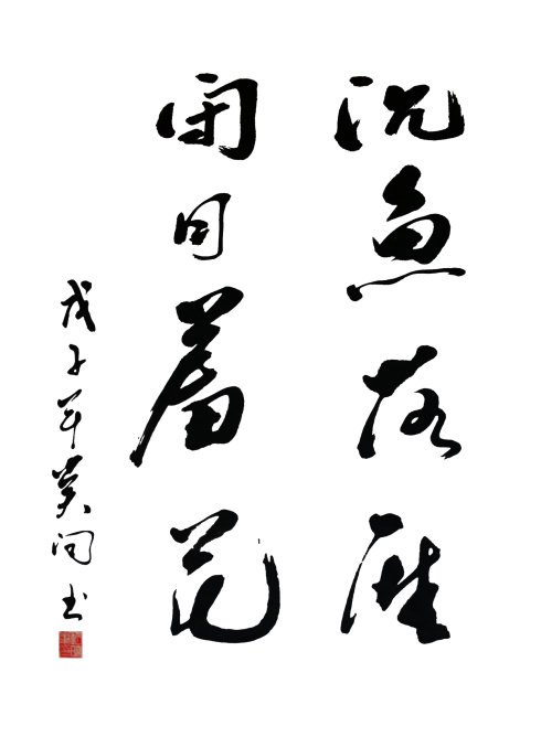 赞扬