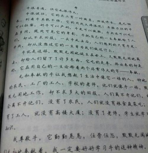 一段摘录的200个单词