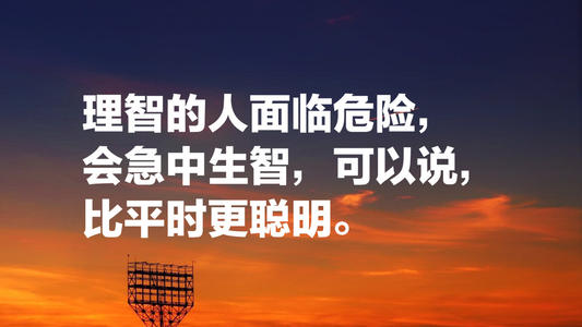 斯特恩达尔语录