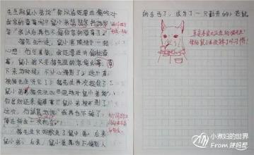 老师对纠正作业的精彩评论